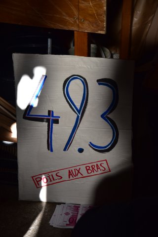 DSC_0463